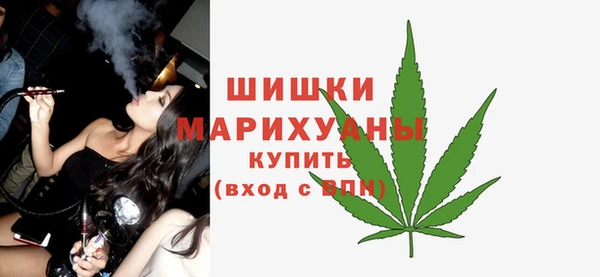 ALPHA PVP Каменка