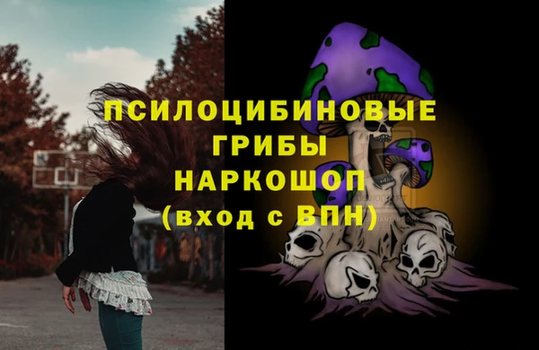 прущая мука Каменск-Шахтинский