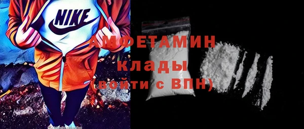 ALPHA PVP Каменка